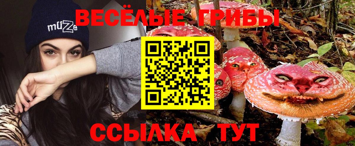 Галлюциногенные грибы Psilocybine cubensis  Вход с VPN  хочу наркоту  Набережные Челны  Псилоцибиновые грибы Psilocybine cubensis 